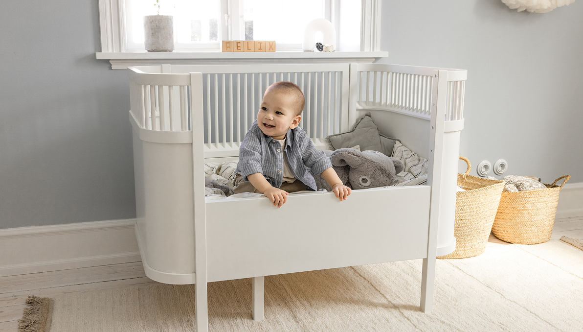 sebra case study